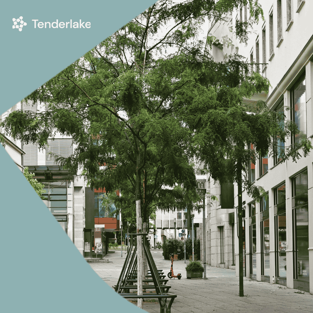 Municipality launches tender for urban design and greener spaces